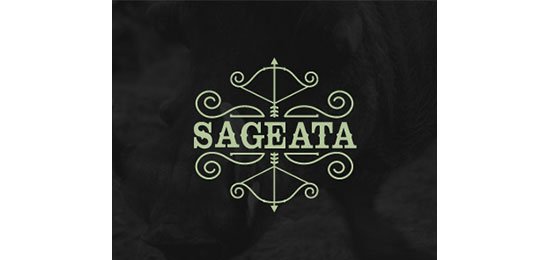 优秀Logo设计 - Sageata (Arrow)
