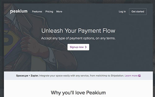 peakium dark subscription landing page design 网站首页