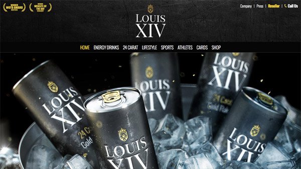 LOUIS XIV Energy 网页设计欣赏