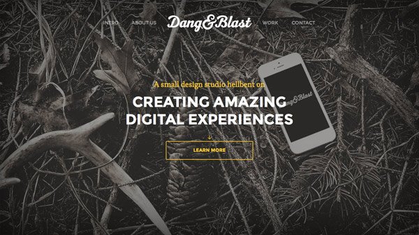 Dang & Blast 网页设计欣赏