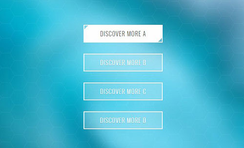 css3 button hover animation effect