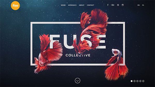 网页设计欣赏：Fuse Collective