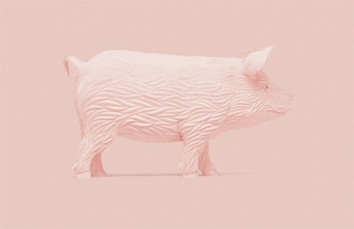 这组3D动物肖像设计，让微信头像惊艳整个朋友圈
