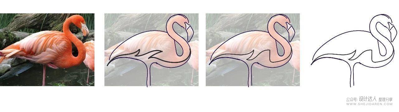 动物标志设计教程：利用照片绘制出高逼格LOGO