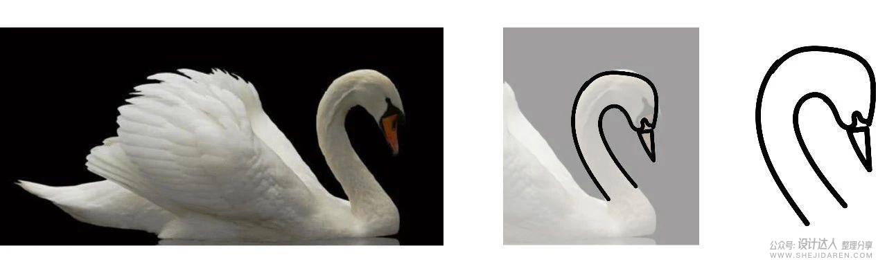 动物标志设计教程：利用照片绘制出高逼格LOGO