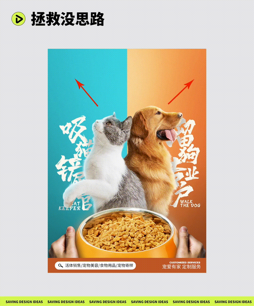宠物海报设计改稿实例，里面都是干货！