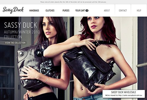 Sassy-Duck- -Welcome-copy in Showcase of Beautiful (or Creative) E-Commerce Websites