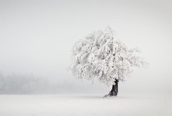 winter photography
