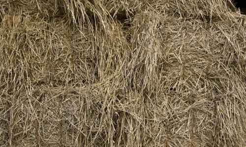 Really Comfortable Hay Texture