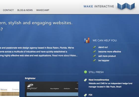 Wake Interactive design agency