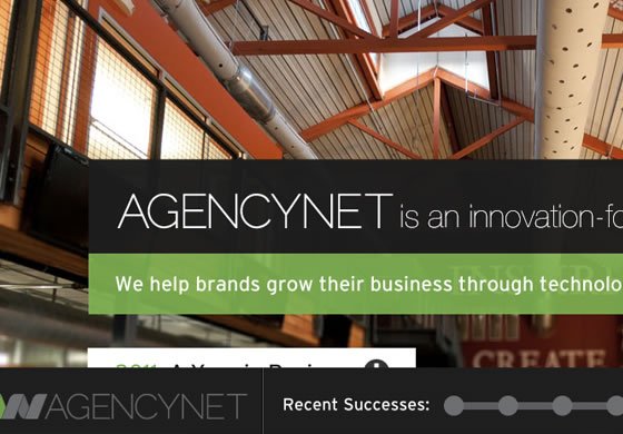 AgencyNet web design