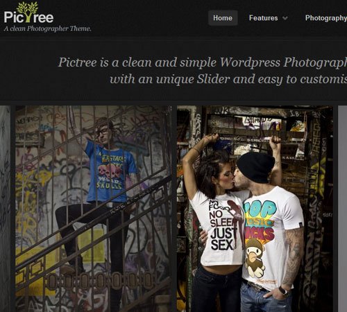 PicTree - A clean Photographer WordPress Theme