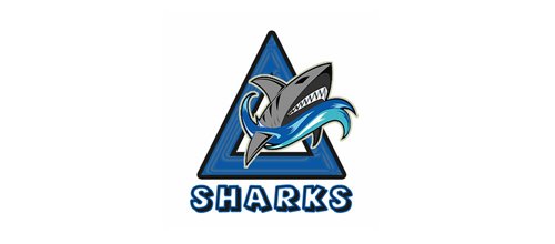 Shark Logo 3