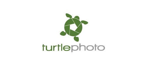 turtlephoto logo