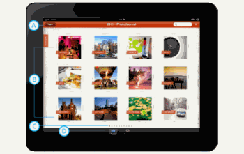 iPad 应用用户界面元素。