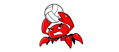 Volleyball team logo
