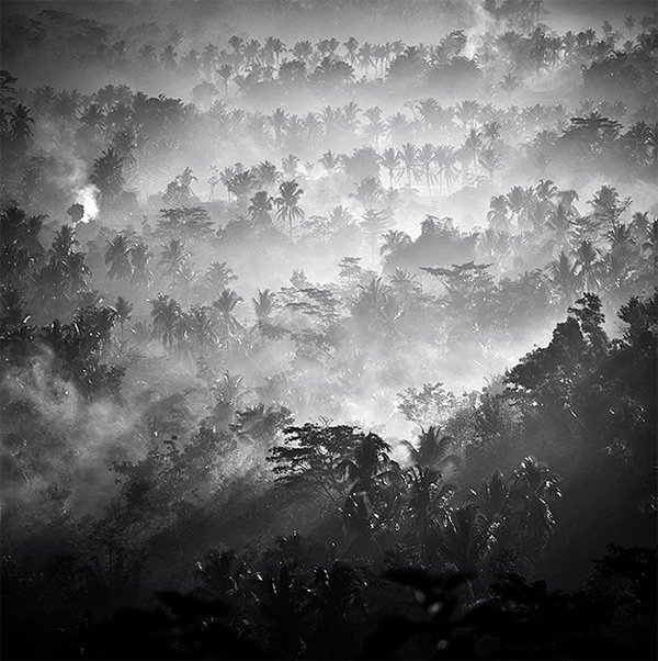 雾与朦胧的摄影作品欣赏 - 设计达人网